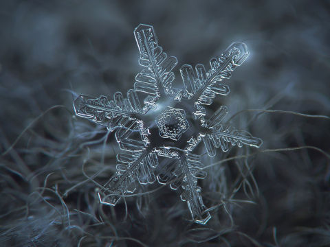 supercoolpics_10_25032013094854
