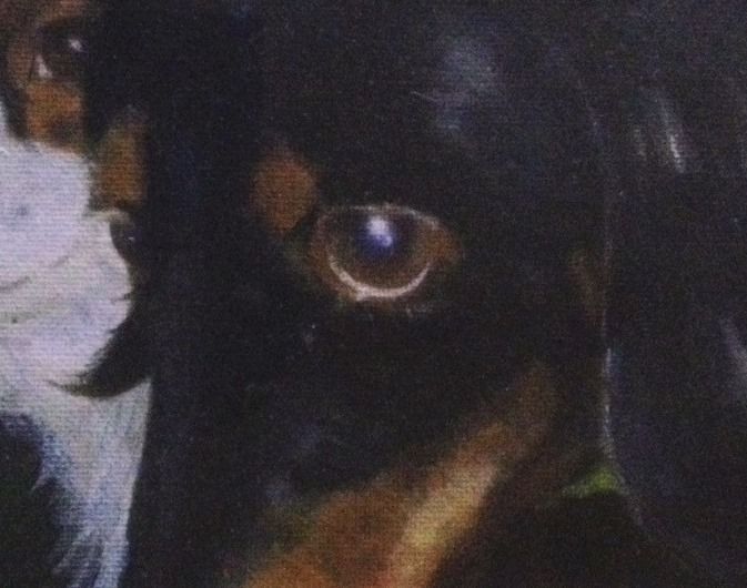 院長のお絵かき2 黒い犬と白い犬の絵 ひかたま 光の魂たち 院長のお絵かき2 黒い犬と白い犬の絵 ひかたま 光の魂たち