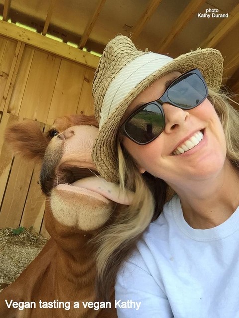 vegan33