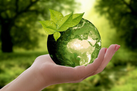 nature-3289812_1280