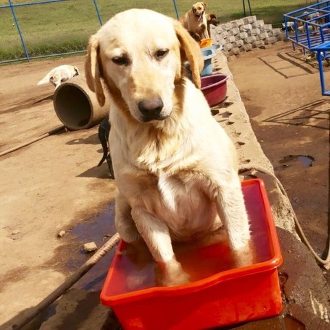 11-territoriodezaguates-tinybathtub-653x0_q80_crop-smart