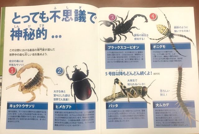 世界中から集めよう 本物の虫 コレクション １巻～５巻セット アシェット