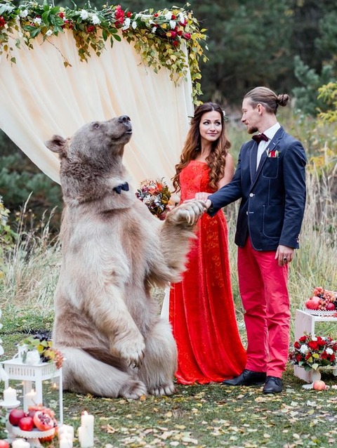 PAY-BEAR-WEDDING (4)