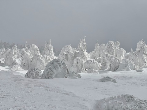 KrTXaLCkQI2UqO6KI8bNcw