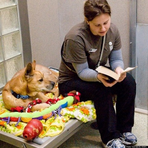 h-READING-A-BOOK