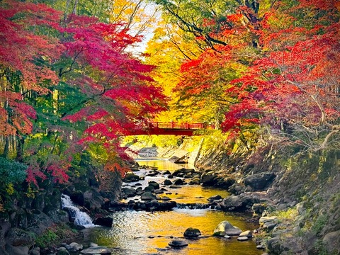 561389966_24520512197648374_1721