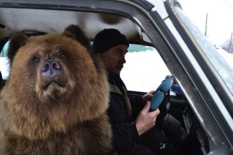 russia-bears-streets-18