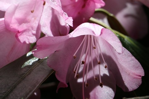 sIMG_0900