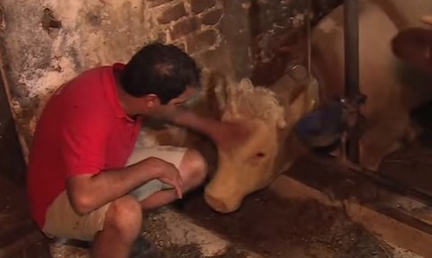 gaucho1