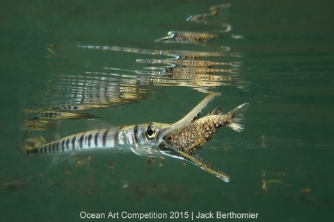 1st-cb-ocean-art-2015-jack-berthomier_0