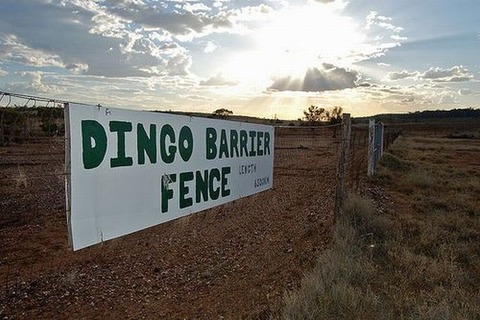 longest_fence_02