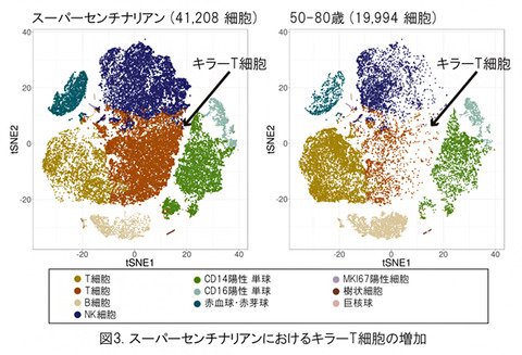 20191113_1_fig3