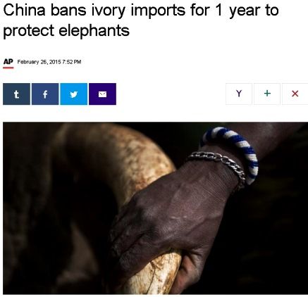 ivory