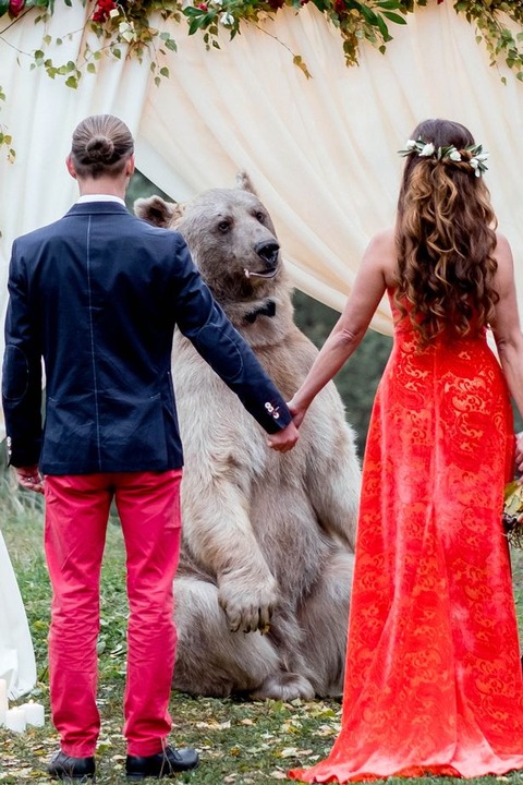 PAY-BEAR-WEDDING (5)