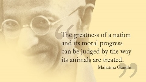 1029548787-gandhi_20quote