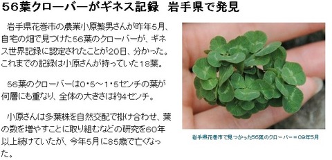 clover56