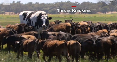 knick