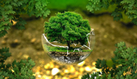 environmental-protection-326923_1280