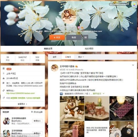 33179DED00000578-3504573-Online_celebri