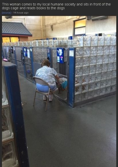 womanreadbook