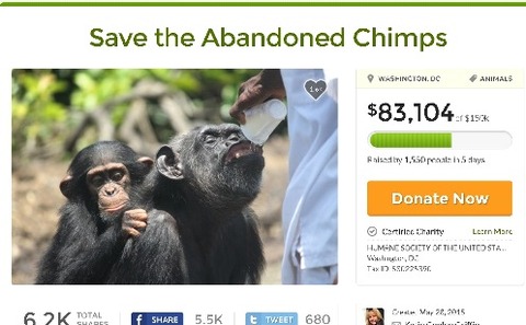 savechimps