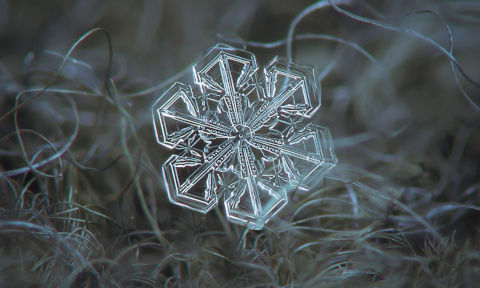 supercoolpics_24_25032013121330