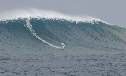 waves-577a71761eb0e__700