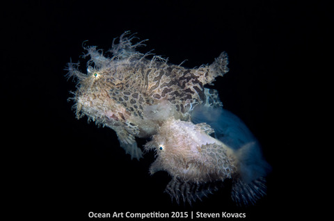 1st-mlb-ocean-art-2015-steven-kovacs-700