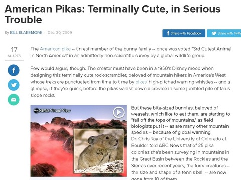 pika2