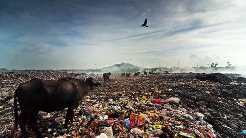 Pollution-environment