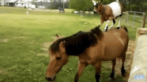 ride3