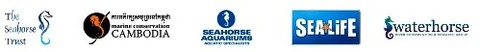 seahorse3