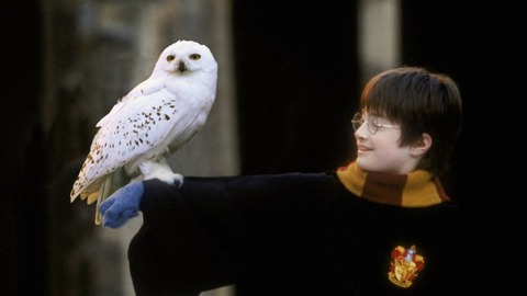 HarryPotter_WB