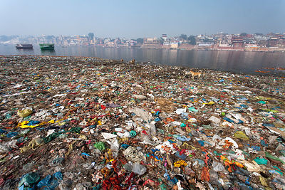 Brett-Cole-India-049
