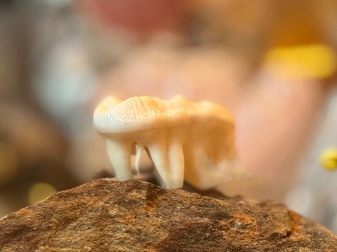 616310630_25297268029972783_8350