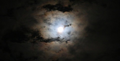 IMG_0854ablog