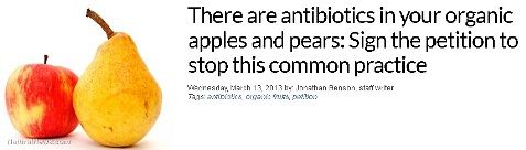 organicapple