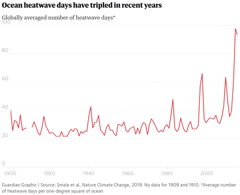 Ocean-heat-wave-d