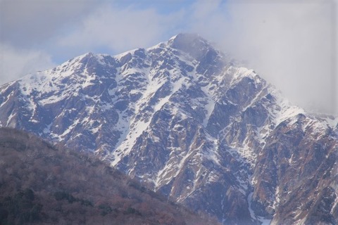 IMGP2061
