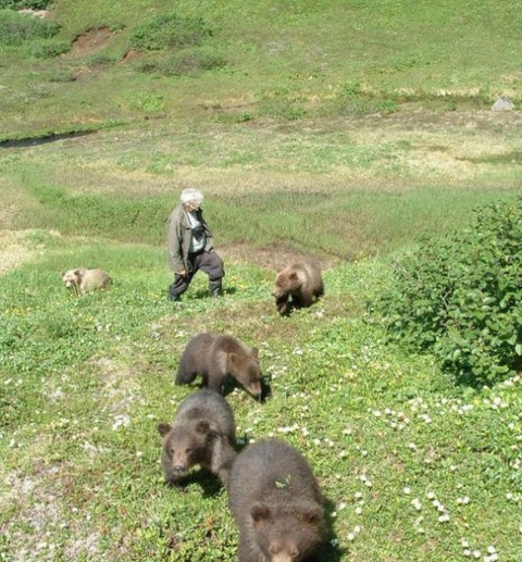 russia-bears-streets-8