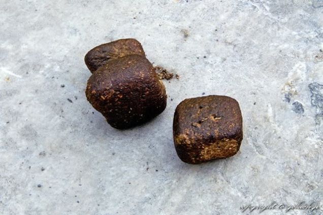 聖徳太子とウォンバットの四角いうんち ひかたま 光の魂たち 聖徳太子とウォンバットの四角いうんち ひかたま 光の魂たち