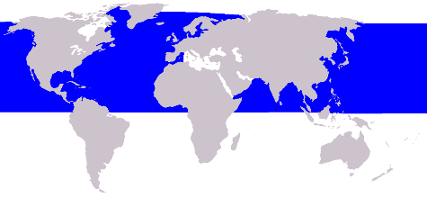 Cetacea_range_map_Minke_Whale