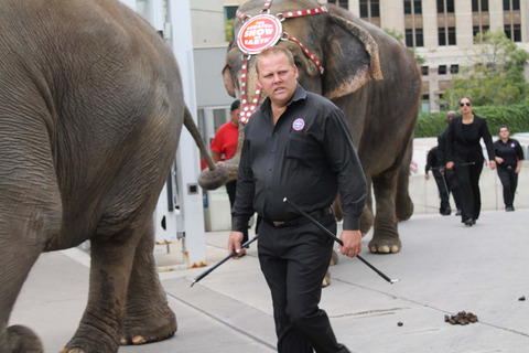 2__Ringling_2D00_bullho