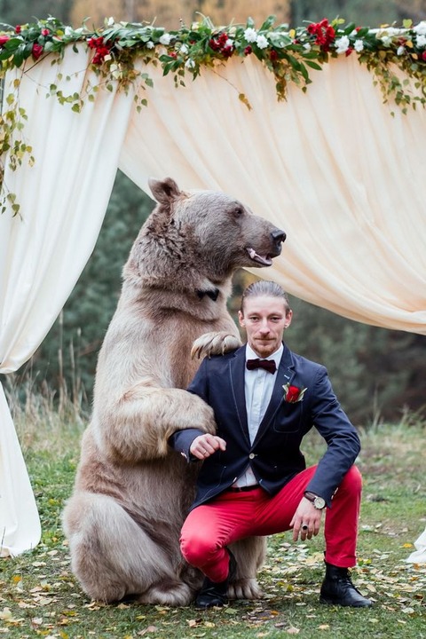 PAY-BEAR-WEDDING (2)