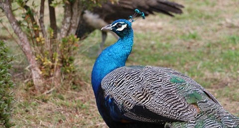 IMG_3857blog
