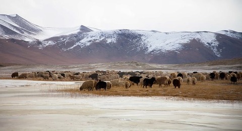 ladakh-5000873__340