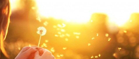 hope-and-happiness-1024x418