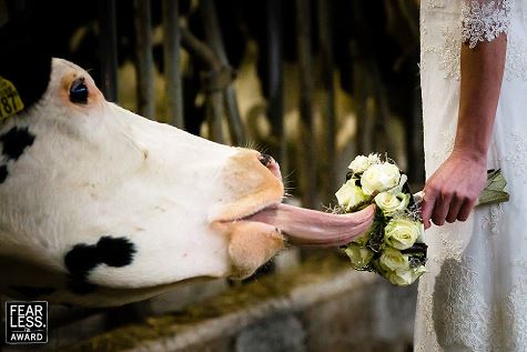 best-wedding-photos-20t