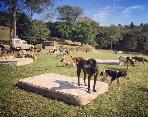 04-territoriodezaguates-mattresses-653x0_q80_crop-smart