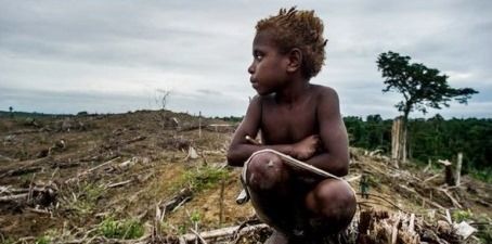 papua1